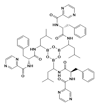 Bortezomib Trimer