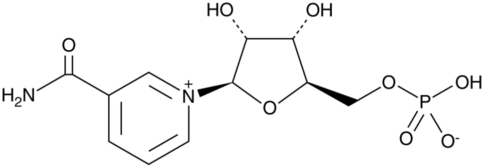 Beta-Nicotinamide Mononucleotide