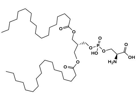 Phosphatidylserine