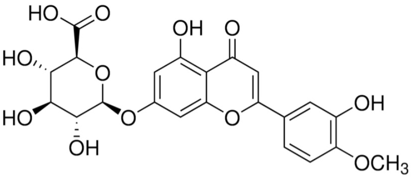 Diosmetin-7-O-Glucuronide