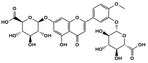 Diosmetin 3,7-Diglucuronide