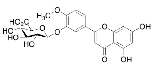 Diosmetin-3-O-Glucuronide