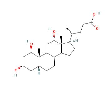 1beta-Deoxycholic Acid