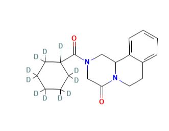 Praziquantel-D11